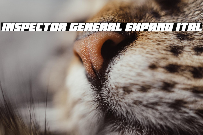 Inspector General Expand Ital Example 3