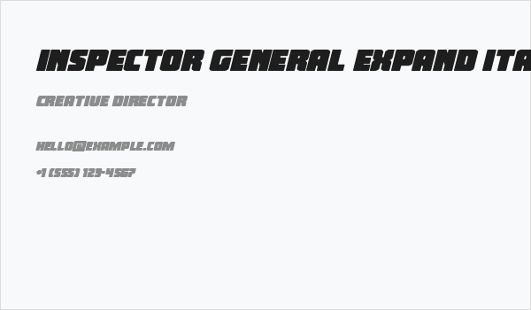 Inspector General Expand Ital Business Card