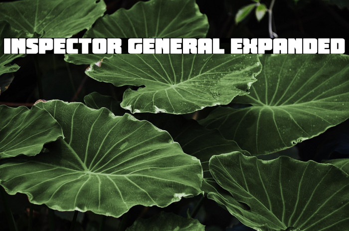 Inspector General Expanded Example 1