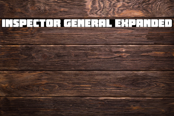 Inspector General Expanded Example 2