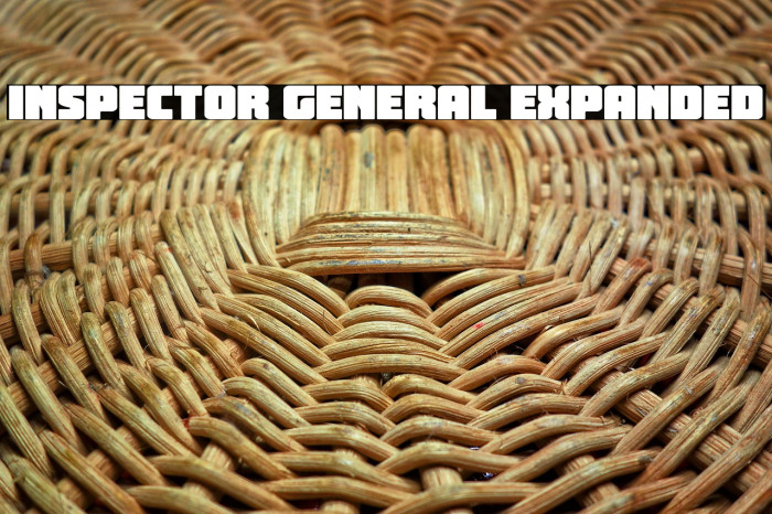 Inspector General Expanded Example 3