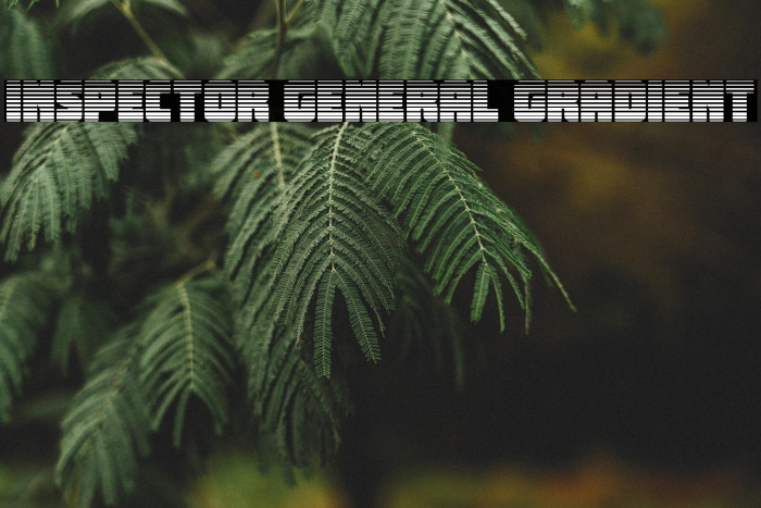 Inspector General Gradient Example 2