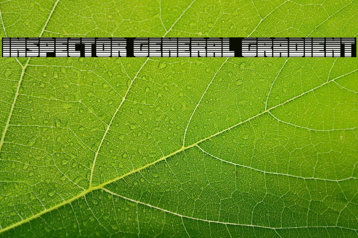 Inspector General Gradient Example 3