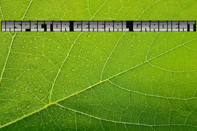 Inspector General Gradient Example 3