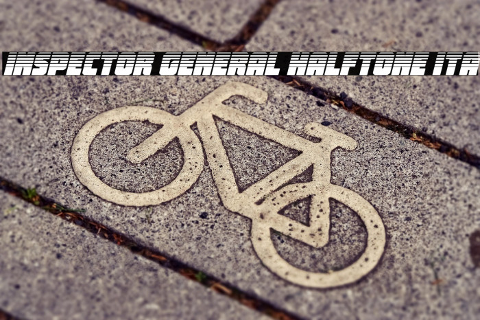 Inspector General Halftone Ita Example 3