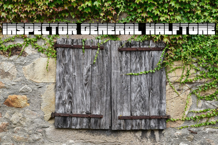 Inspector General Halftone Example 1