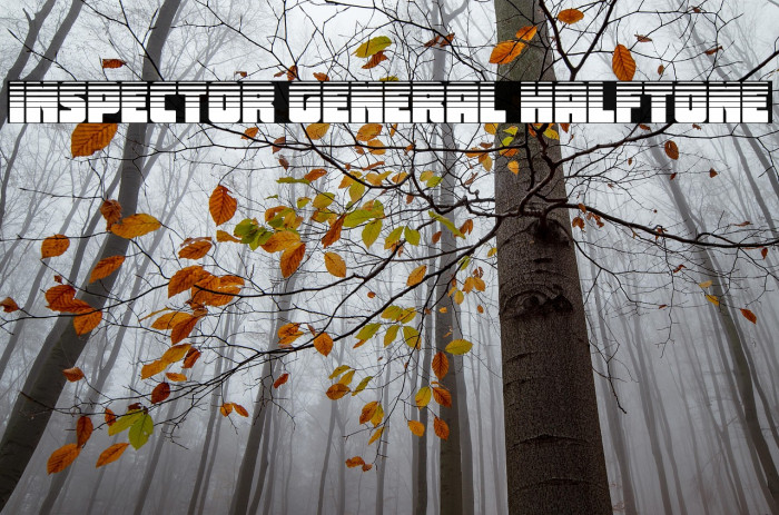 Inspector General Halftone Example 3