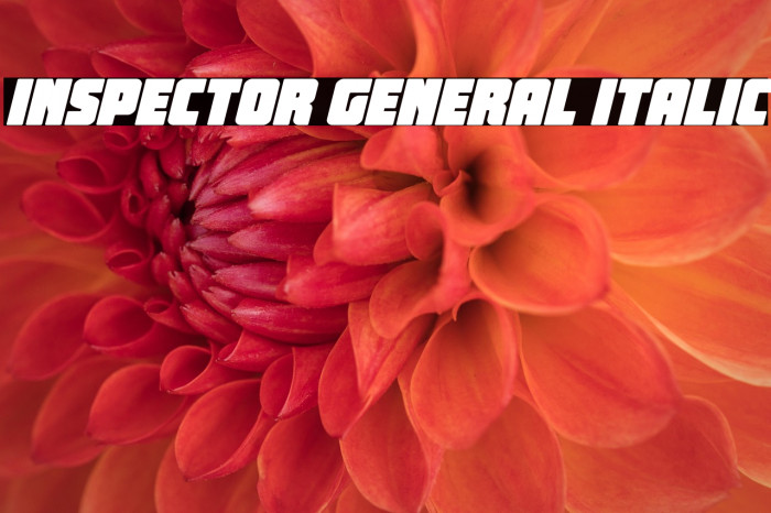 Inspector General Italic Example 1