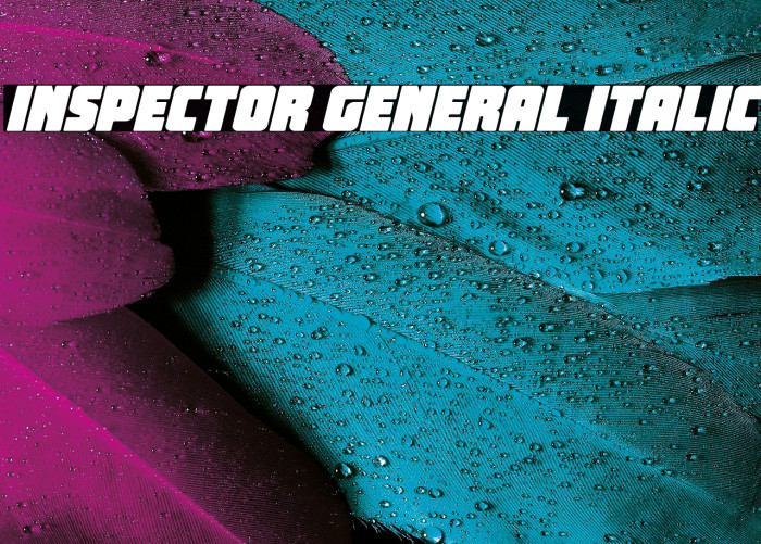 Inspector General Italic Example 2