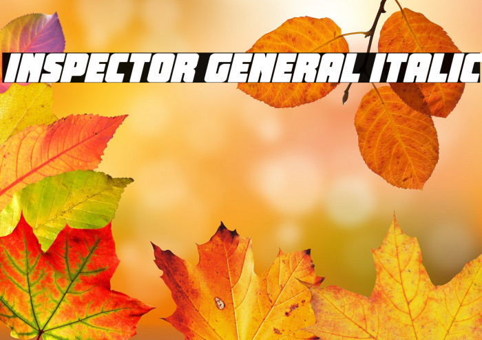 Inspector General Italic Example 3