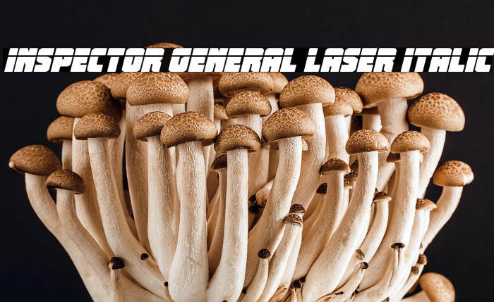 Inspector General Laser Italic Example 1