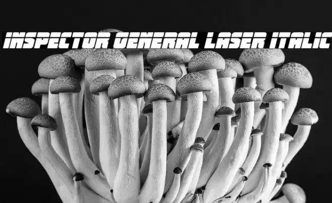 Inspector General Laser Italic Font examples