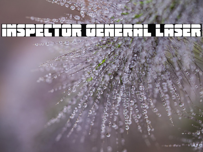 Inspector General Laser Example 1