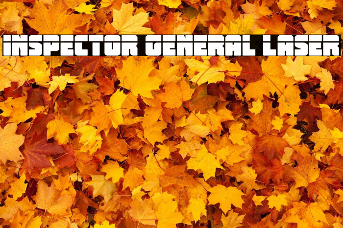 Inspector General Laser Example 3