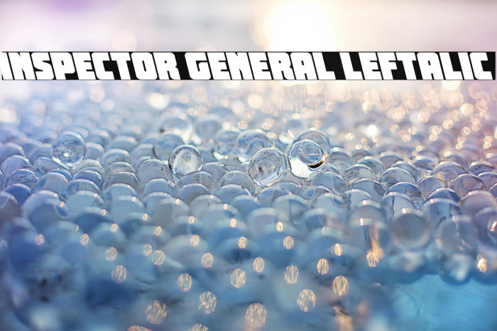 Inspector General Leftalic Example 1