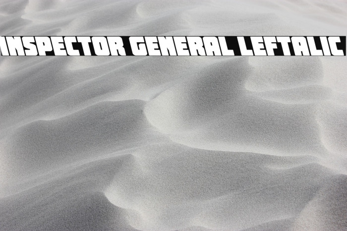 Inspector General Leftalic Example 2