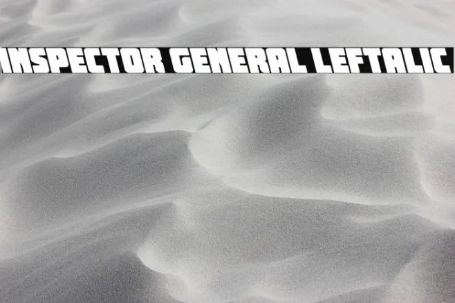 Inspector General Leftalic Example 2