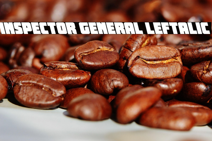 Inspector General Leftalic Example 3