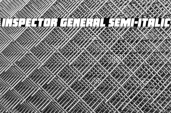 Inspector General Semi-Italic Example 1