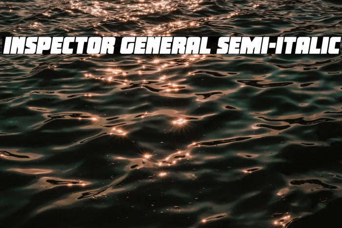 Inspector General Semi-Italic Example 2