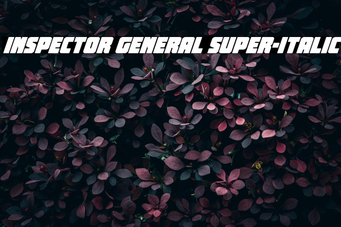 Inspector General Super-Italic Example 3