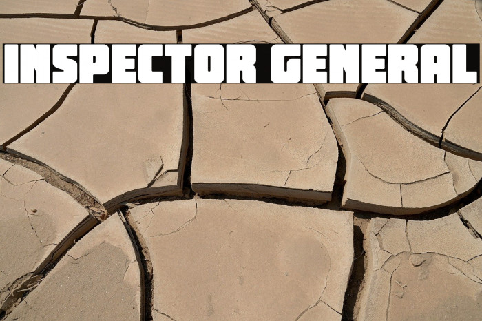 Inspector General Example 1