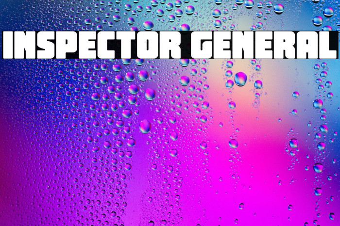 Inspector General Example 2