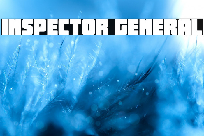 Inspector General Example 3