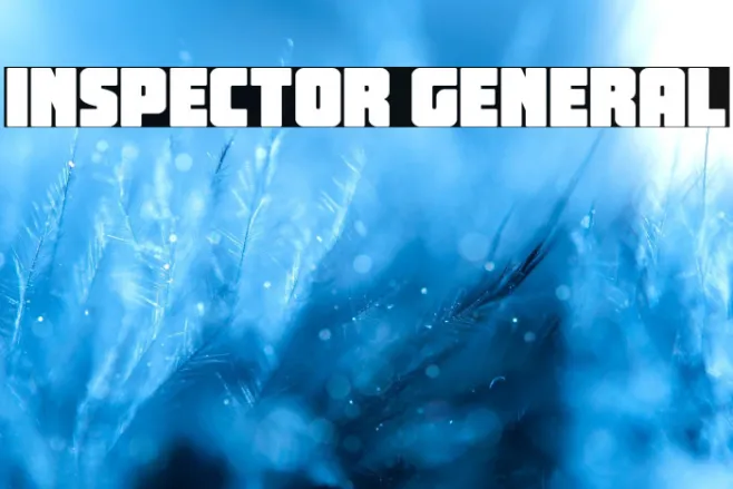 Inspector General Example 3