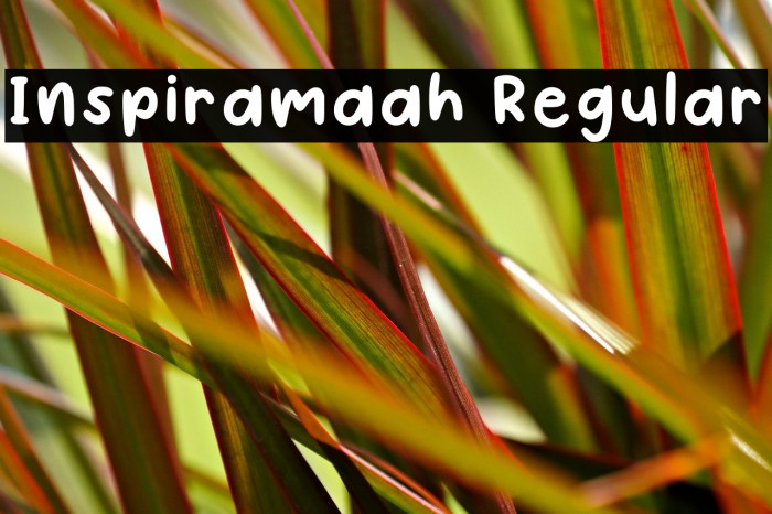Inspiramaah Regular Example 1