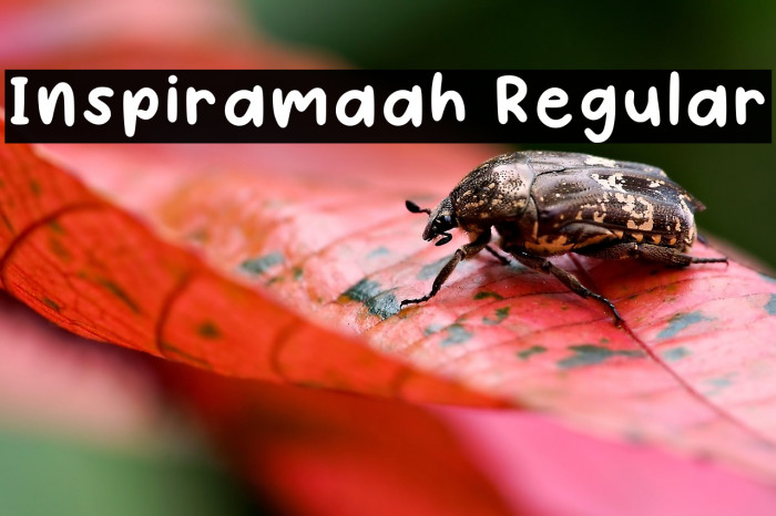 Inspiramaah Regular Example 2