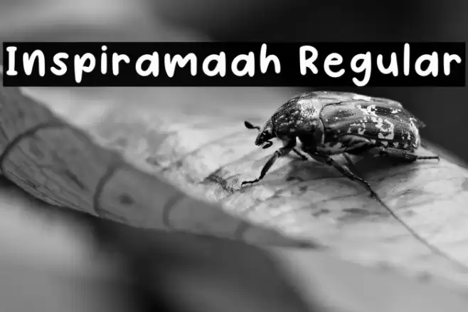 Inspiramaah Regular Font examples
