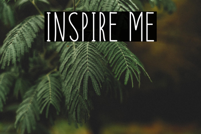 Inspire Me Example 1