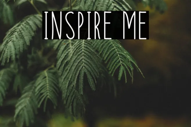 Inspire Me Example 1