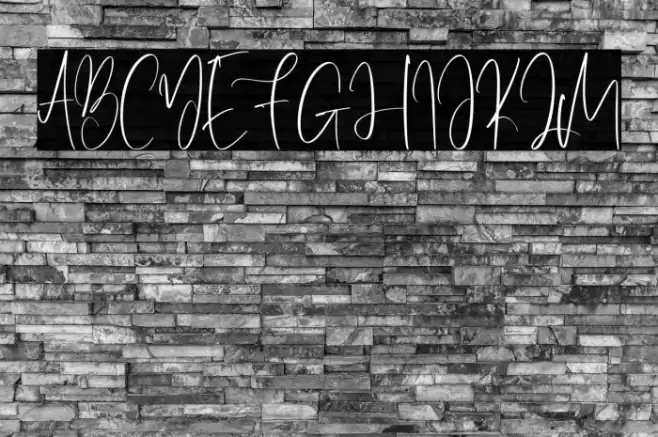 Inspiring-Regular Caratteri examples