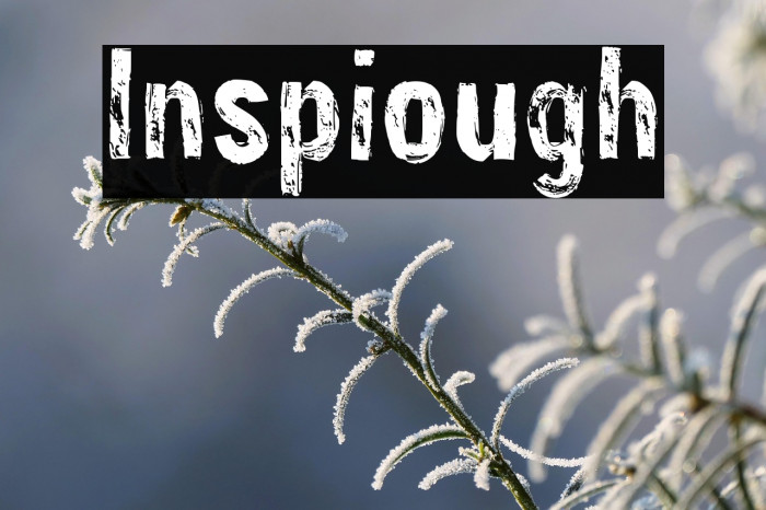 Inspirough Example 1