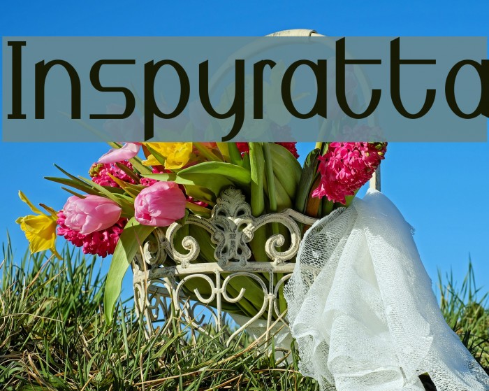 Inspyratta Example 3