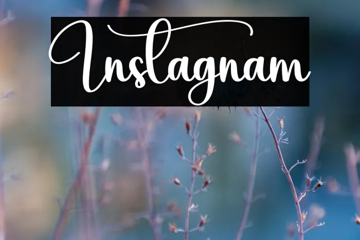 Instagnam Example 3