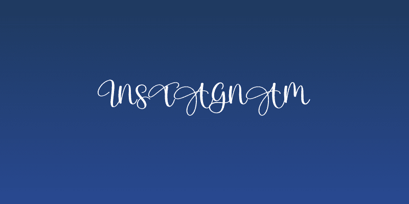 Instagnam Social Header
