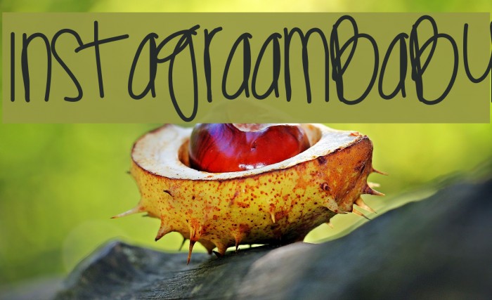 InstagraamBaby Example 3