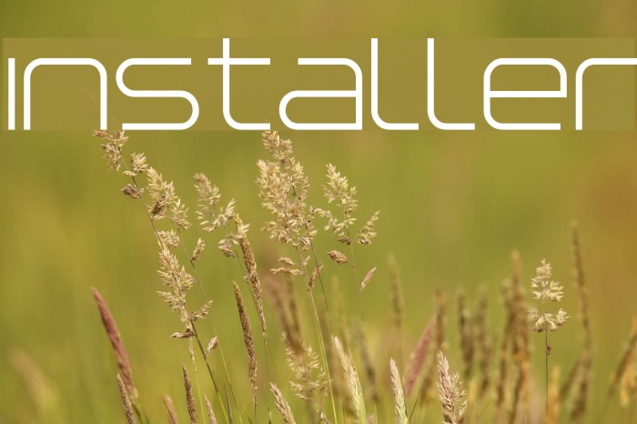 Installer Font examples
