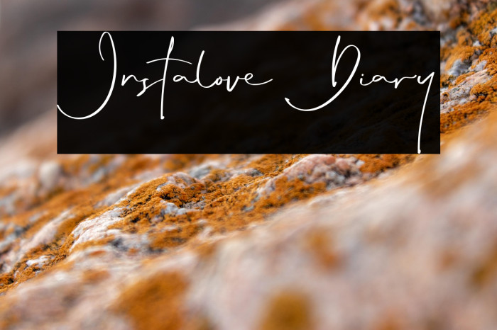 Instalove Diary Example 3