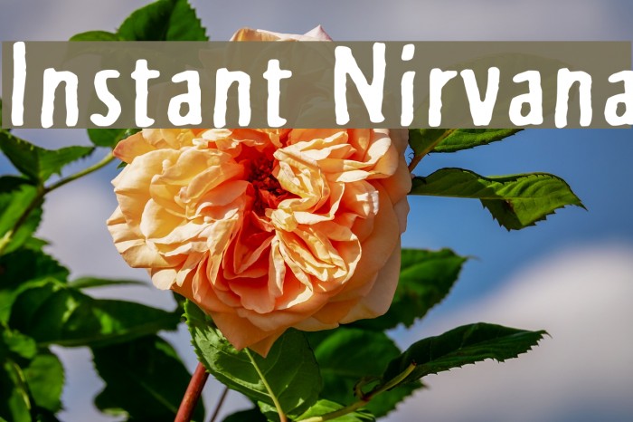 Instant Nirvana Font examples