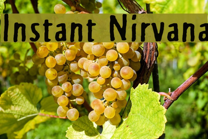 Instant Nirvana Font examples