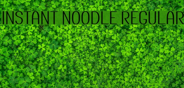Instant Noodle Regular Example 2