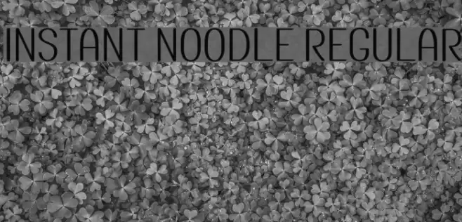 Instant Noodle Regular Font examples