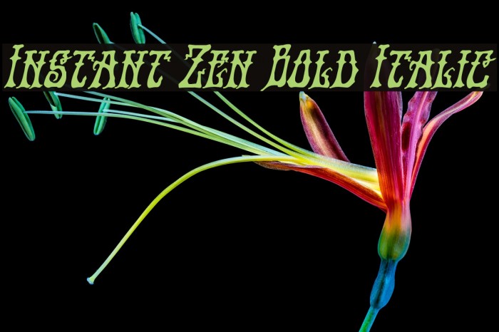 Instant Zen Bold Italic Example 2