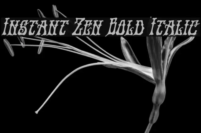 Instant Zen Bold Italic Font examples