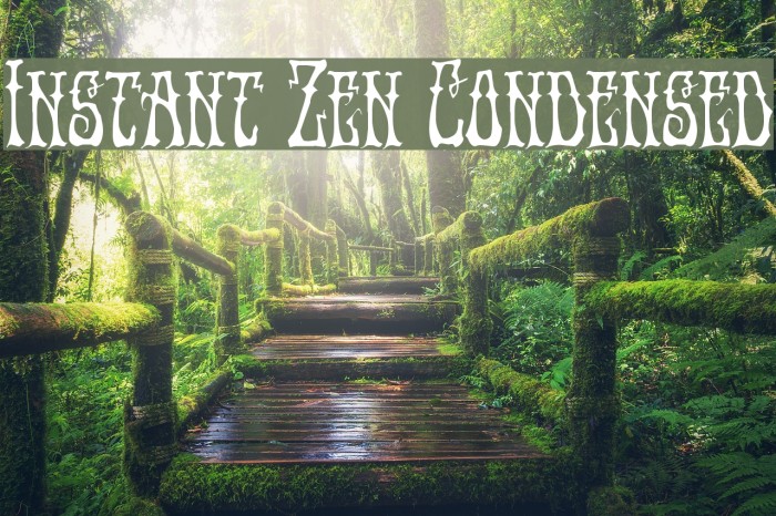 Instant Zen Condensed Font examples