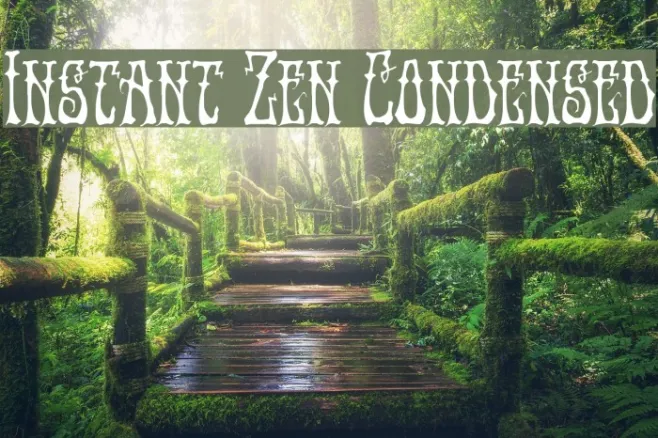 Instant Zen Condensed Example 1